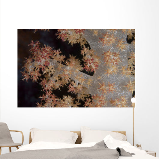 Close-up Tree Coral Fijian Branch Wall Decal