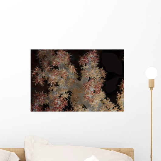 Close-up Tree Coral Fijian Wall Decal