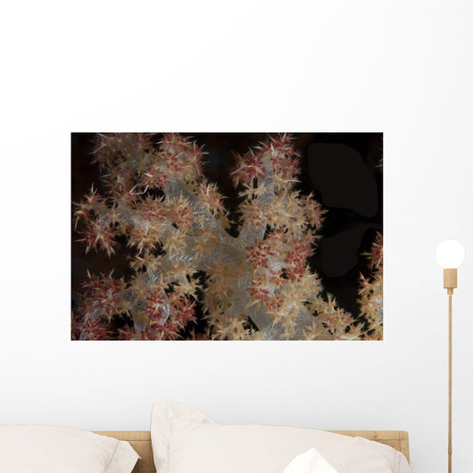 Close-up Tree Coral Fijian Wall Decal