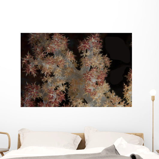 Close-up Tree Coral Fijian Wall Decal