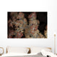 Close-up Tree Coral Fijian Wall Decal