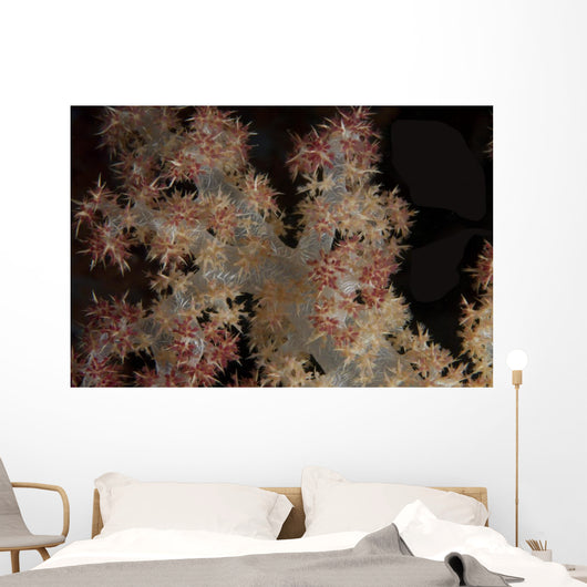 Close-up Tree Coral Fijian Wall Decal