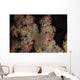 Close-up Tree Coral Fijian Wall Decal