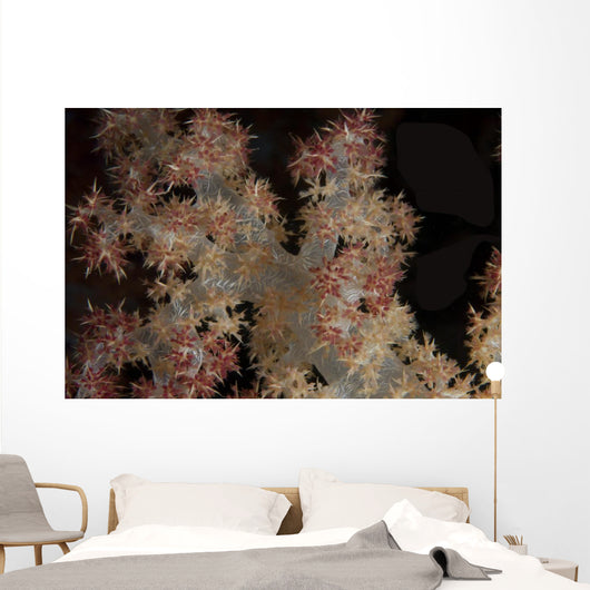Close-up Tree Coral Fijian Wall Decal