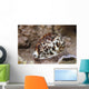 Large Tiger Cowrie Fiji Light Wall Decal