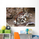 Large Tiger Cowrie Fiji Light Wall Decal