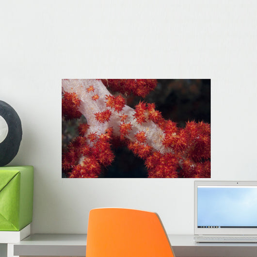 Red Tree Coral Fijian Wall Decal