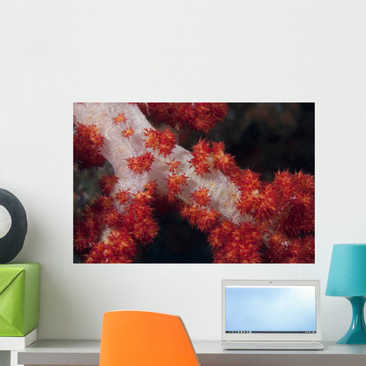 Red Tree Coral Fijian Wall Decal