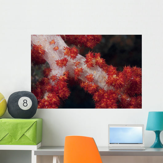 Red Tree Coral Fijian Wall Decal