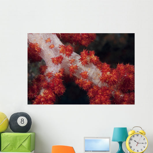 Red Tree Coral Fijian Wall Decal