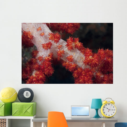 Red Tree Coral Fijian Wall Decal