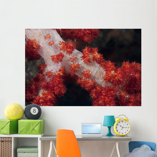 Red Tree Coral Fijian Wall Decal