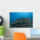 Stony Corals Beqa Lagoon Distant Wall Decal