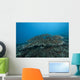Stony Corals Beqa Lagoon Distant Wall Decal