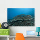 Stony Corals Beqa Lagoon Distant Wall Decal