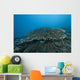 Stony Corals Beqa Lagoon Distant Wall Decal