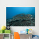 Stony Corals Beqa Lagoon Distant Wall Decal