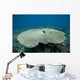 Plate Coral Beqa Lagoon Wall Decal