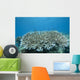 Stony Corals Beqa Lagoon Close-up Wall Decal