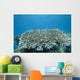 Stony Corals Beqa Lagoon Close-up Wall Decal