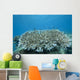 Stony Corals Beqa Lagoon Close-up Wall Decal