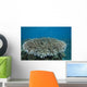 Stony Corals Beqa Lagoon Wall Decal