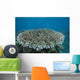 Stony Corals Beqa Lagoon Wall Decal
