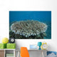 Stony Corals Beqa Lagoon Wall Decal