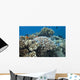 Acropora Nasuta Stony Corals Wall Decal