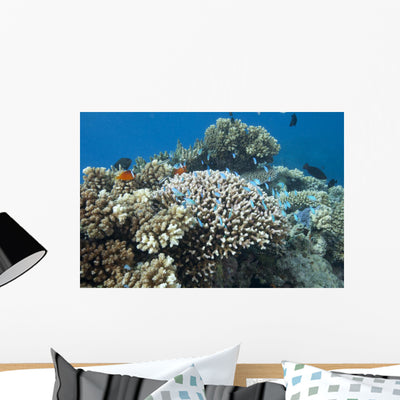 Acropora Nasuta Stony Corals Wall Decal shown on a wall