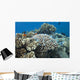 Acropora Nasuta Stony Corals Wall Decal