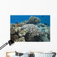 Acropora Nasuta Stony Corals Wall Decal