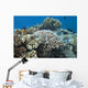 Acropora Nasuta Stony Corals Wall Decal
