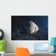 Longfin Spadefish Beqa Lagoon Side Wall Decal