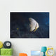 Longfin Spadefish Beqa Lagoon Side Wall Decal