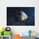 Longfin Spadefish Beqa Lagoon Side Wall Decal