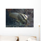 Longfin Spadefish Beqa Lagoon Wall Decal