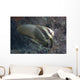 Longfin Spadefish Beqa Lagoon Wall Decal