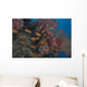 Scalefin Anthias Fish Beqa Distant Wall Decal