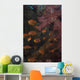 Scalefin Anthias Fish Beqa Wall Decal