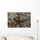 Close-up Sea Star Beqa Wall Decal
