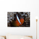 Tomato Clownfish Its Host Wall Decal