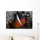 Tomato Clownfish Its Host Wall Decal