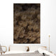 Coral Polyps Feeding Beqa Wall Decal
