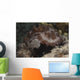 Sea Cucumber Feeding Algae Wall Decal