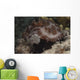 Sea Cucumber Feeding Algae Wall Decal