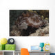 Sea Cucumber Feeding Algae Wall Decal