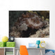 Sea Cucumber Feeding Algae Wall Decal