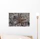 Close-up Sea Star Beqa Light Wall Decal