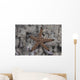 Close-up Sea Star Beqa Light Wall Decal